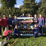 6th class with Bug Hotel - Nov 2020